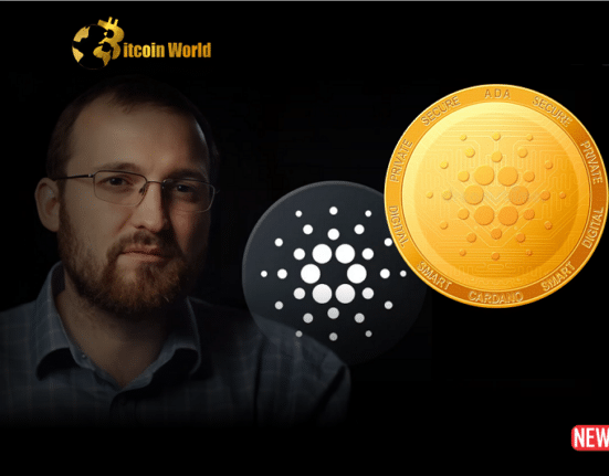 cardano founde