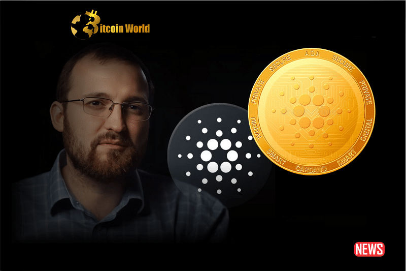 cardano founde