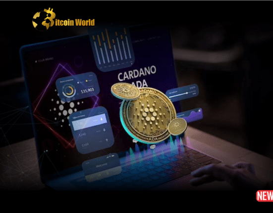 cardano growth 1