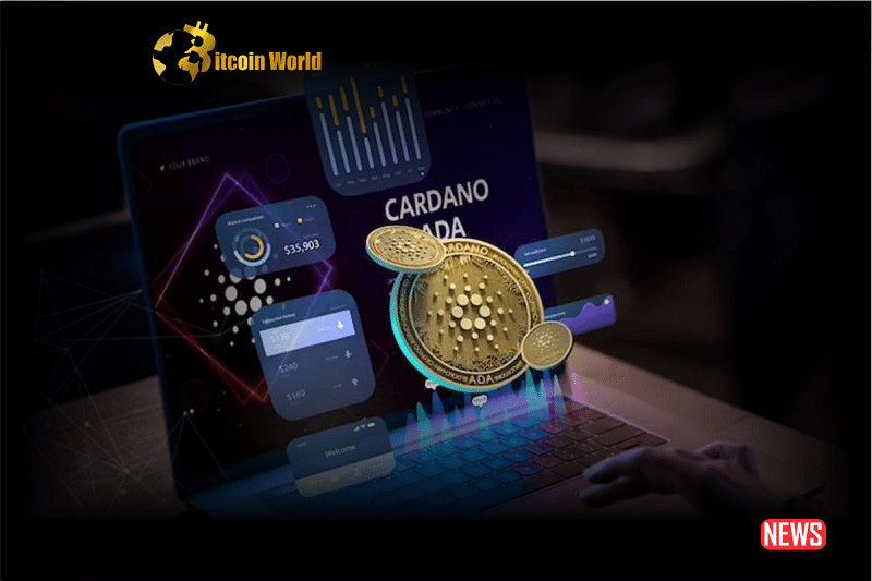 cardano growth 1