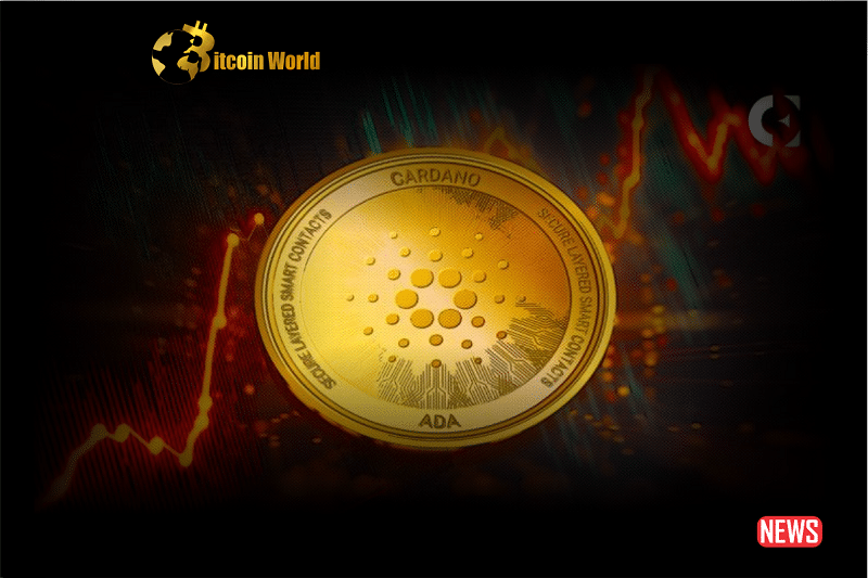 cardano growth