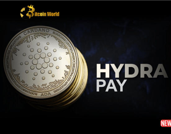 cardano hydra