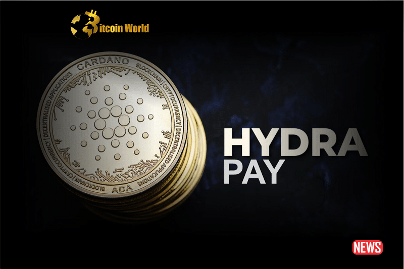 cardano hydra