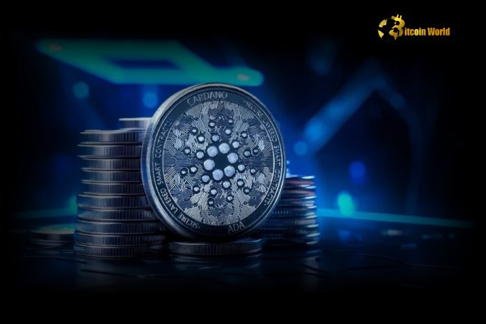 ADA leads crypto gains in market rally