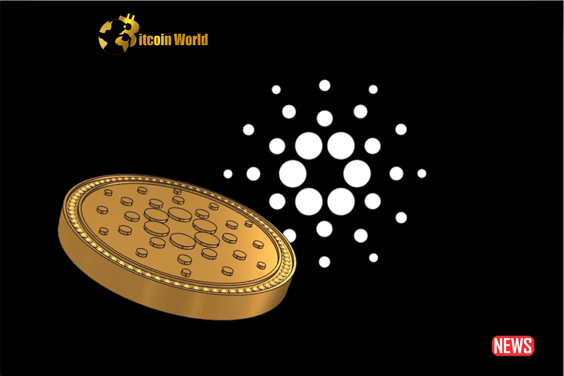 cardano load