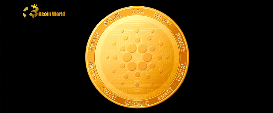 cardano median hold