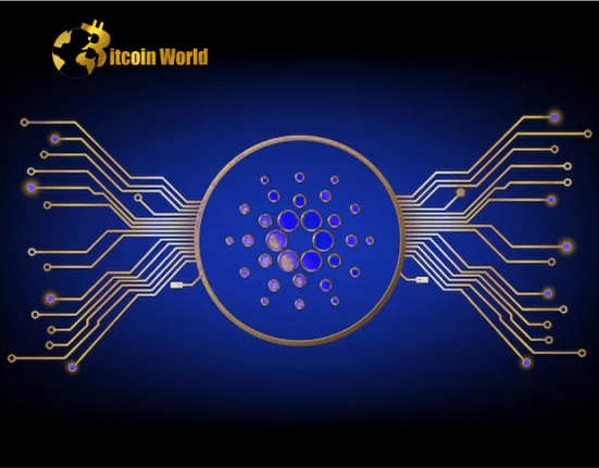 cardano n