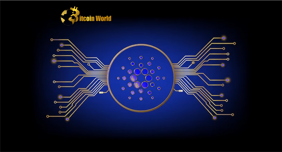cardano n