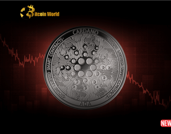 cardano navigate