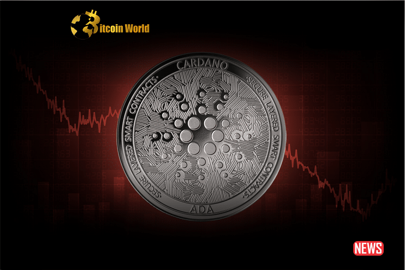 cardano navigate