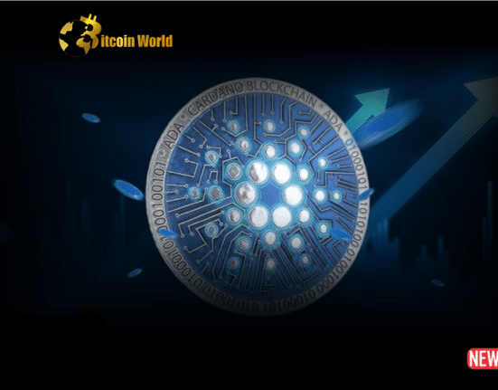 cardano on chain