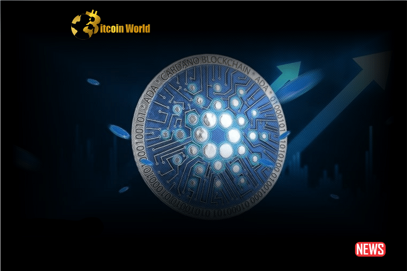 cardano on chain