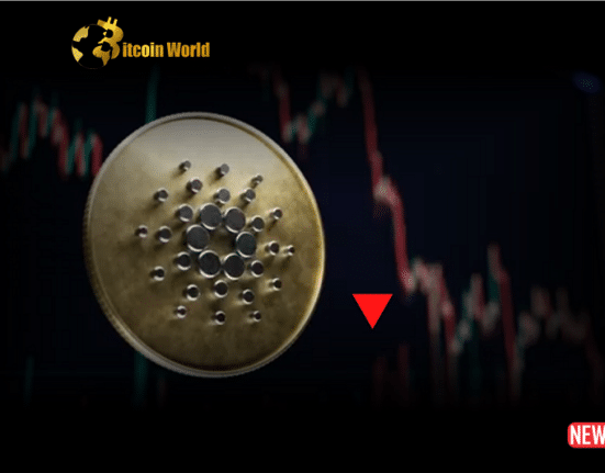 cardano plummet 1