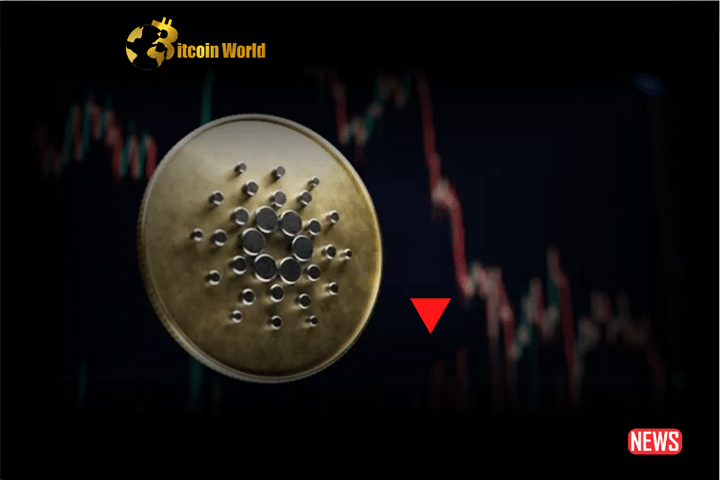 cardano plummet 1
