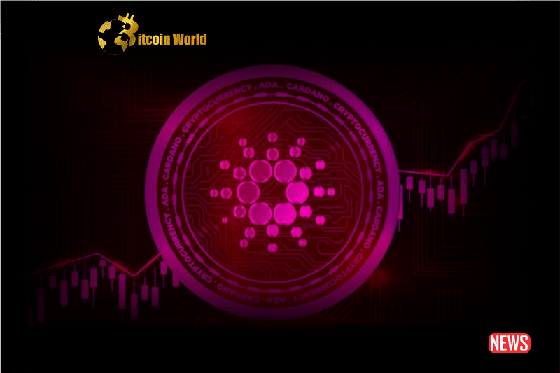 cardano prediction