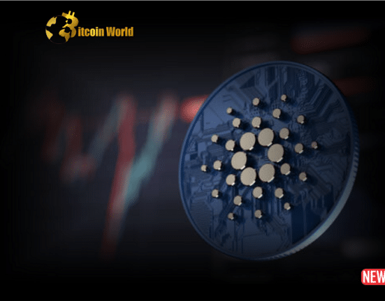 cardano price pre