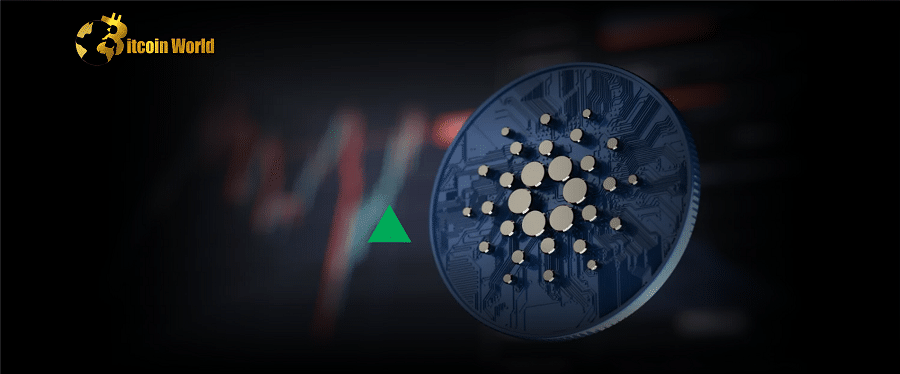 Cardano (ADA) Price Performance: In-Depth On-Chain Analysis