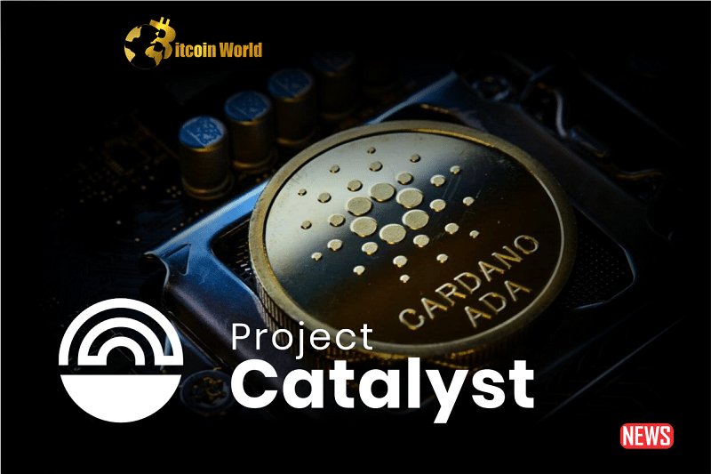 cardano project cata