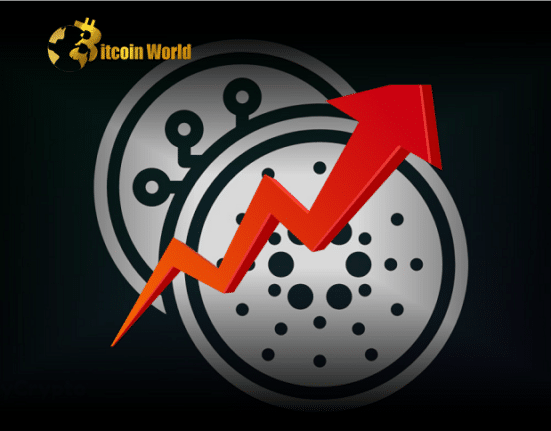 cardano rally