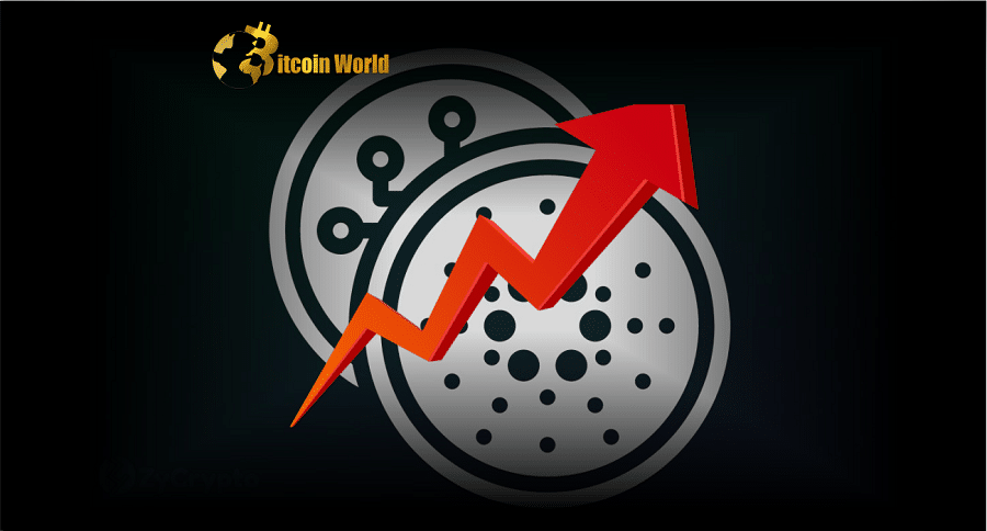cardano rally