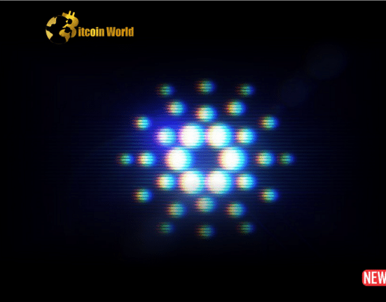 cardano reco