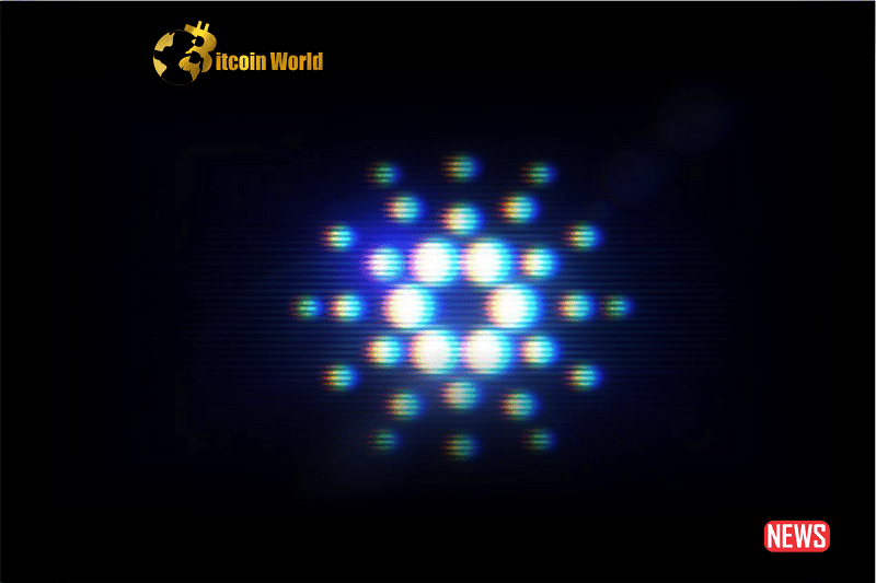 cardano reco