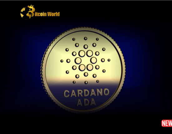 cardano reg 1