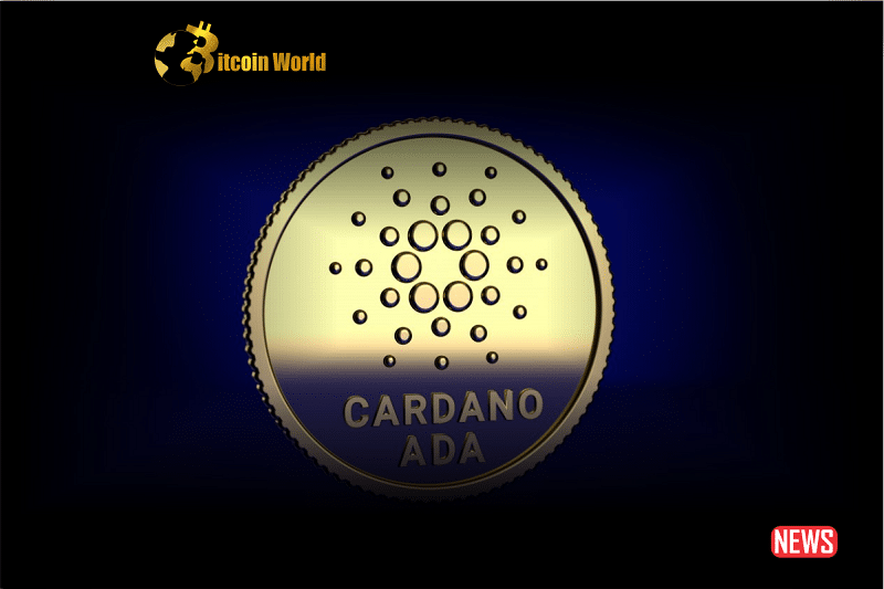 cardano reg 1