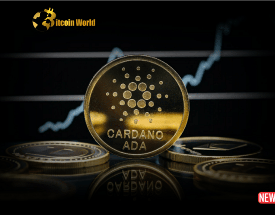 cardano ris