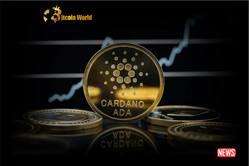 cardano ris