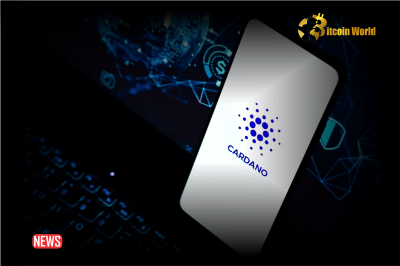 ADA Rise To A New Price Level, Should Cardano Investors Be Cautious?