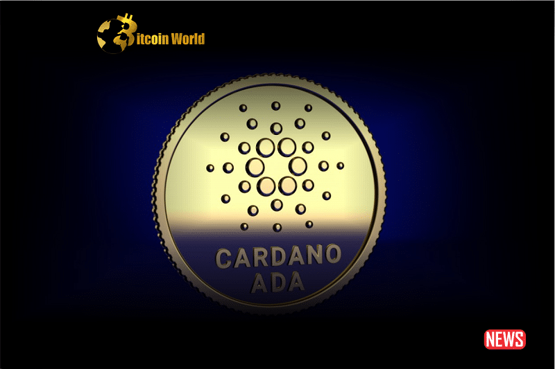 cardano surge 1 1