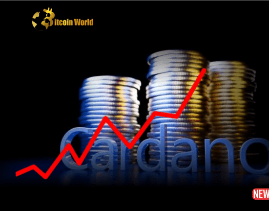 cardano surge 2