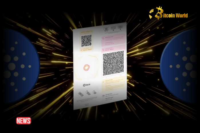 Charles Hoskinson Challenged Anyone To Crack The Cardano Lace Paper Wallet