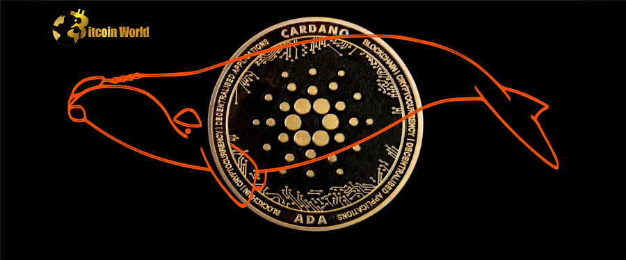 Cardano Whales Helped Price Surge After Accumulating Over 405 Million $ADA, Data Suggests