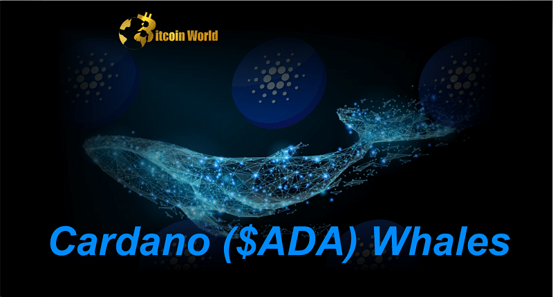 Cardano ($ADA) Whales Go on $218 Million Buying Spree
