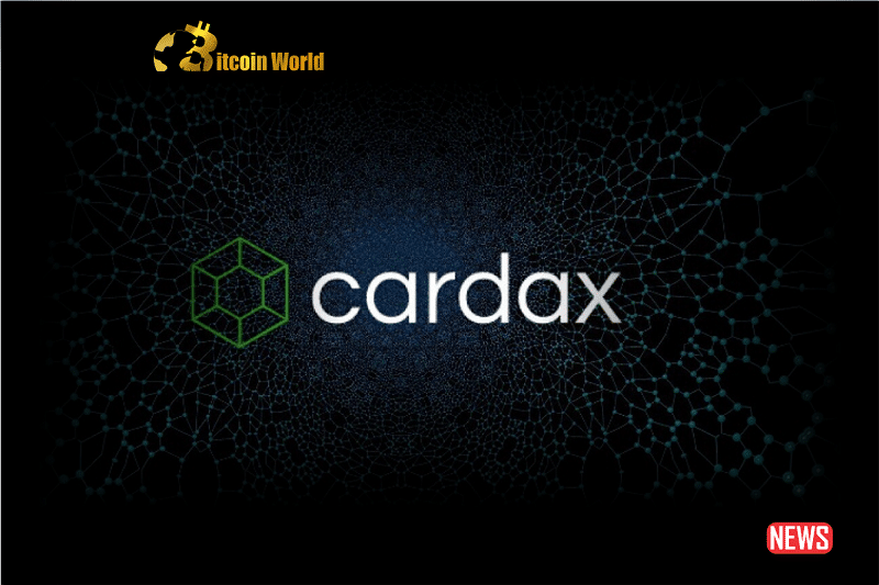 Cardano regulatory woes,Cardano, ADA, Cardax, Decentralized Exchange, DEX, regulatory woes, crypto regulation, SEC, DeFi, crypto market