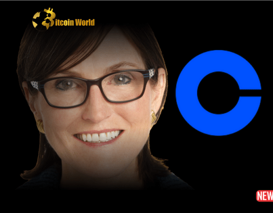 cathie wood