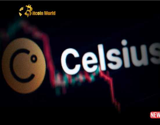celsius bnkr