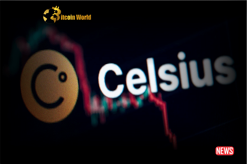 celsius bnkr