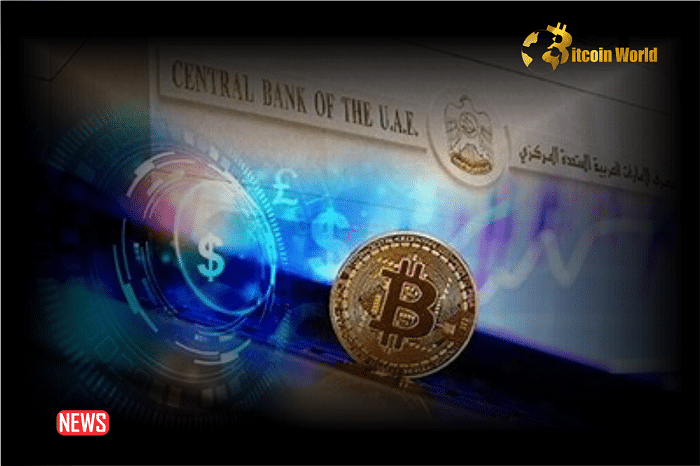 UAE Central Bank Launches Digital Dirham Strategy For Wholesale And Retail Use