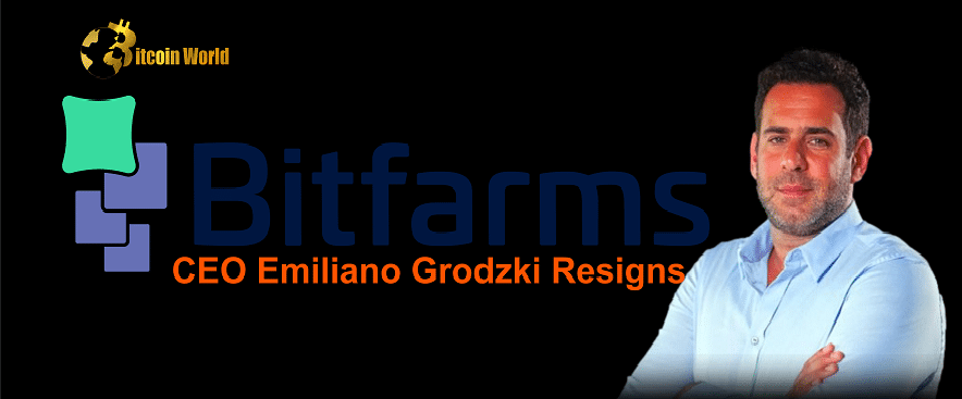 Bitfarms CEO Emiliano Grodzki Resigns Amid Industry Struggles