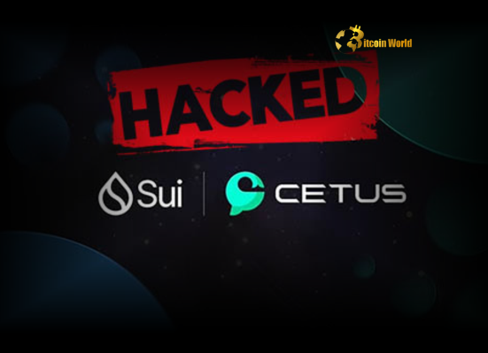 Cetus Exploit Shocking $220M Loss & Urgent Recovery Plan on Sui