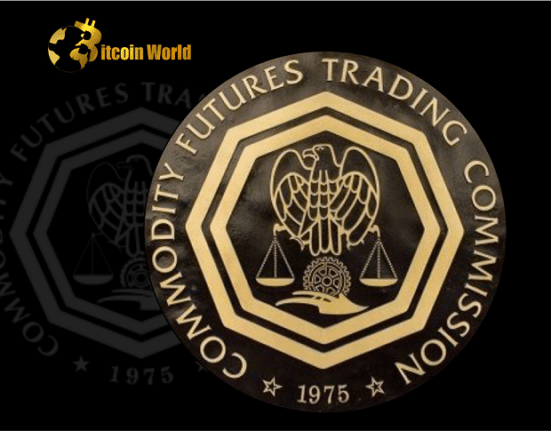 CFTC Commissioner Says Congress Must Order Crypto Regulators to Cooperate 