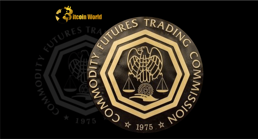 CFTC Commissioner Says Congress Must Order Crypto Regulators to Cooperate 
