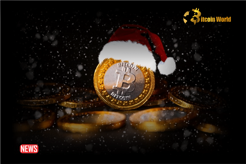 9 Christmas Gift Ideas For Crypto Enthusiasts