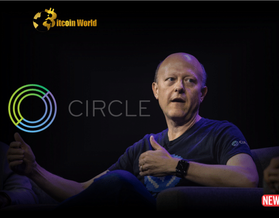 circle ceo 2