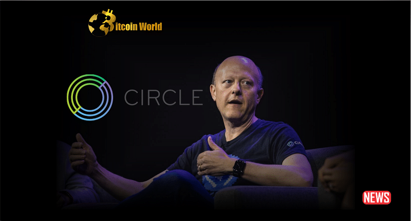 circle ceo