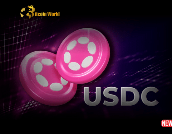 circle usdc 1 1
