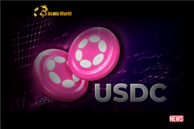 circle usdc 1 1